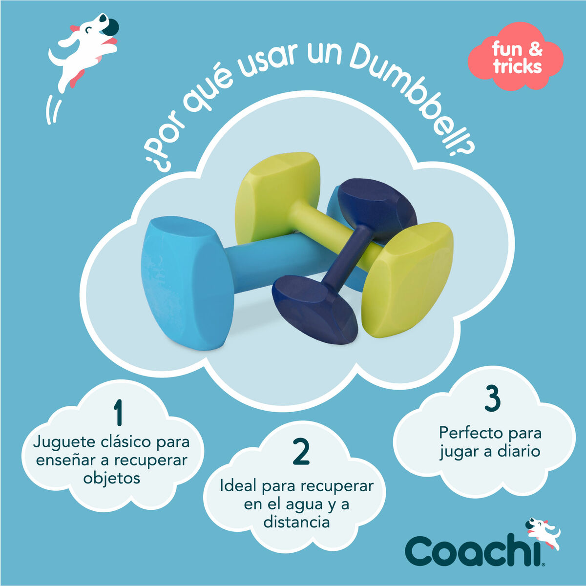 Mokomasis žaislas Coachi TRAINING DUMBBELL